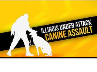 Illinois under attack canine assault