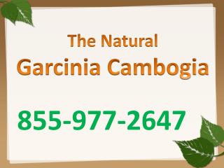 How does garcinia cambogia work?
