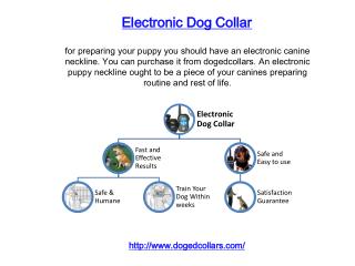 Electronic Dog Collar