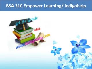 BSA 310 Empower Learning/ indigohelp