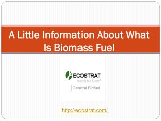 A Little Information About What Is Biomass Fuel