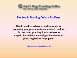 Electronic training collars for dogs