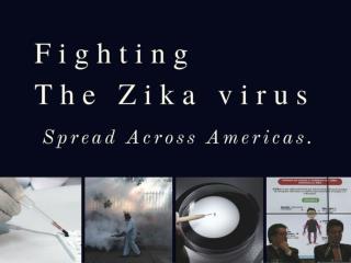 Fighting the Zika virus