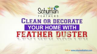 Clean your home with feather duster
