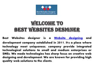 Bestwebsitesdesigner.com review