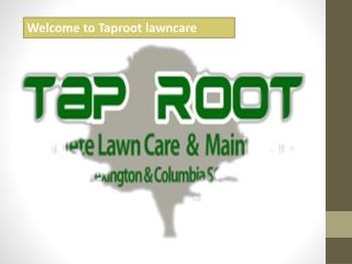 Welcome to Taproot lawncare