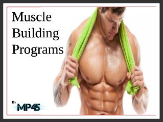 Muscle Building Programs