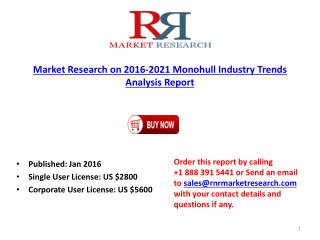 Monohull Industry Key Manufacturers Analysis Report 2016-2021
