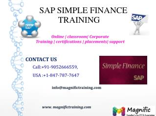 SAP SIMPLE FINANCE ONLINE TRAINING IN AUSTRALIA|SOUTH AFRICA|DUBAI