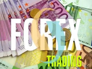 Best forex signals company