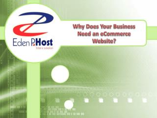 Why does Your Business Need an E commerce Website