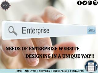 Needs of Enterprise Website Designing in a unique way?