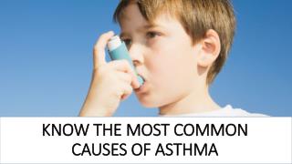 Know the most common causes of asthma