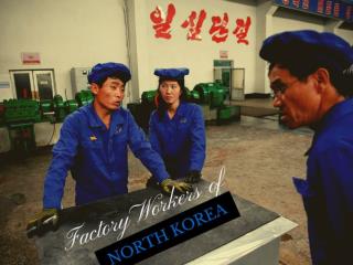 Factory workers of North Korea