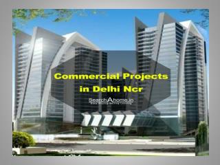 Commercial Projects in Delhi Ncr