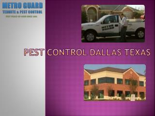 Termite Treatments Dallas
