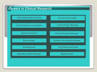 Clinical Research Career That Can Give Right Way For your Future.