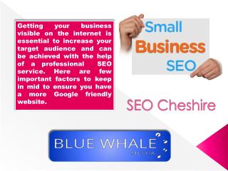Everything You Need To Know About Seo Cheshire