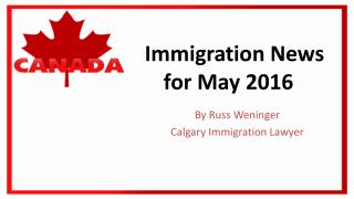 Immigration News for May 2016