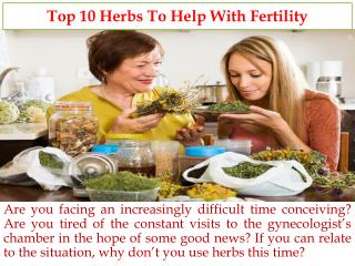 Top 10 Herbs To Help With Fertility Problem
