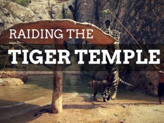 Raiding the Tiger Temple