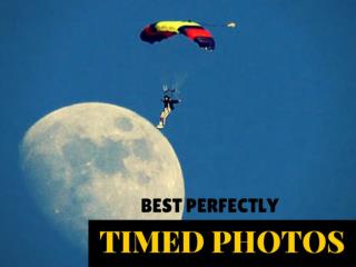 Best Perfectly Timed Photos