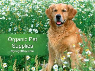 Organic Pet Supplies Online