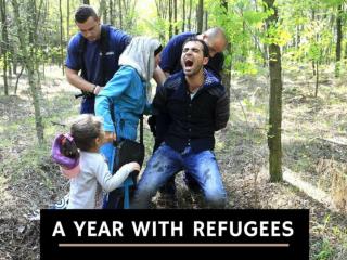 A year with refugees