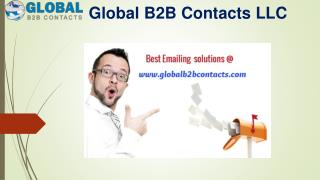 CEO BUSINESS EMAIL DATABASE