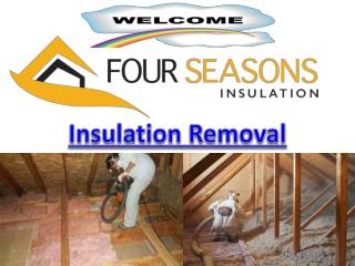 Efficient Insulation Removal Services Toronto