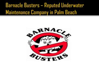 Barnacle Busters – Reputed Underwater Maintenance Company in Palm Beach