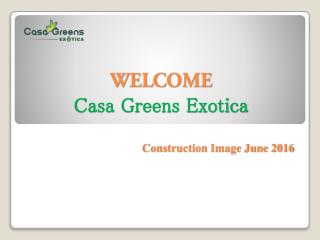 Live exotic life with Casa Greens Exotica