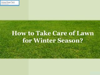 How To Take Care Of Lawn For Winter Season?