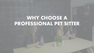 WHY CHOOSE A PROFESSIONAL PET SITTER