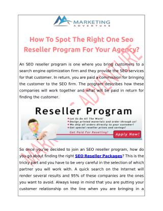 SEO Reseller Program