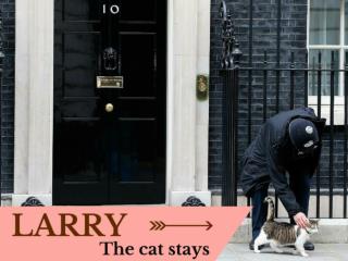Larry the cat stays