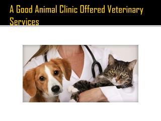 A Good Animal Clinic Offered Veterinary Services