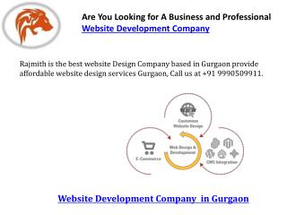 Are you looking for a business and professional website development company