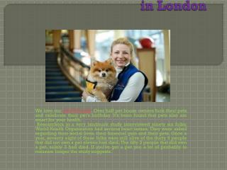 The Benefits of Pet Therapy in London