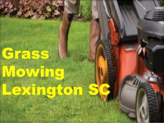 Get To Want Grass Mowing Lexington SC