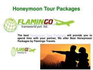 One of the most preferred Honeymoon Tour Packages