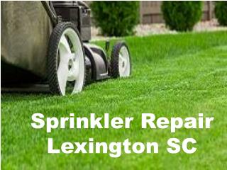 Low Cost Sprinkler Repair Lexington SC
