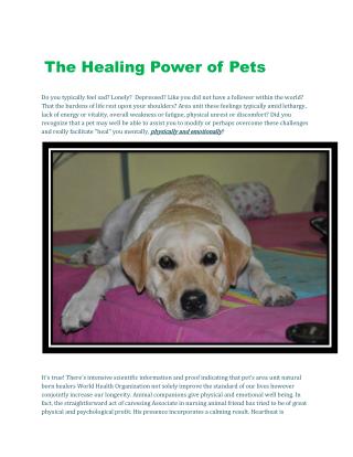 The Healing Power of Pets