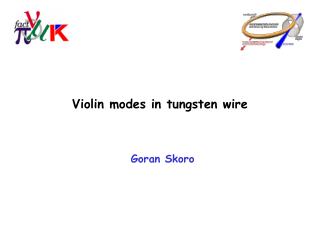 Violin modes in tungsten wire