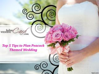 Top 5 Tips to Plan Peacock Themed Wedding
