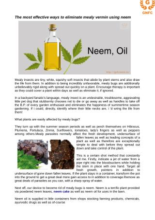 The most effective ways to eliminate mealy vermin using neem oil