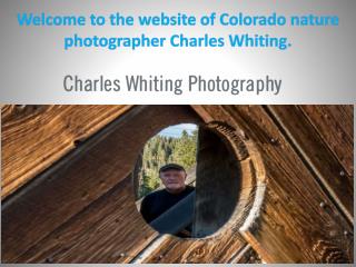 Welcome to the website of Colorado nature photographer Charles Whiting.