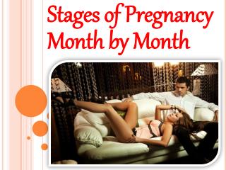 Stages of Pregnancy Month by Month