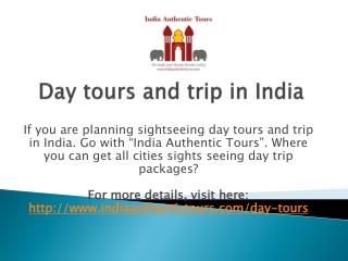 Day tours and trip in India