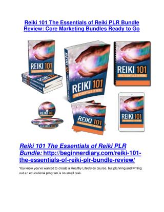 Reiki 101 The Essentials of Reiki PLR Bundle Review & GIANT bonus packs